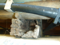 Fungal-Rot-at-Underfloor-Beam-End