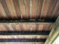 Fungal-Rot-on-Deck-Flooring,-Joists-and-Beams