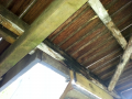 Fungal-Rot-on-Deck-Joists-and-Beams