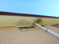 Mould-on-Soffit-plus-damaged-Soffit-Lining