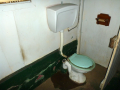Toilet-with-Many-Issues